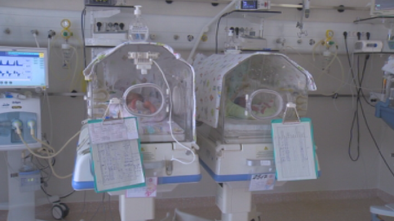 6,000 premature babies are born in Bulgaria every year