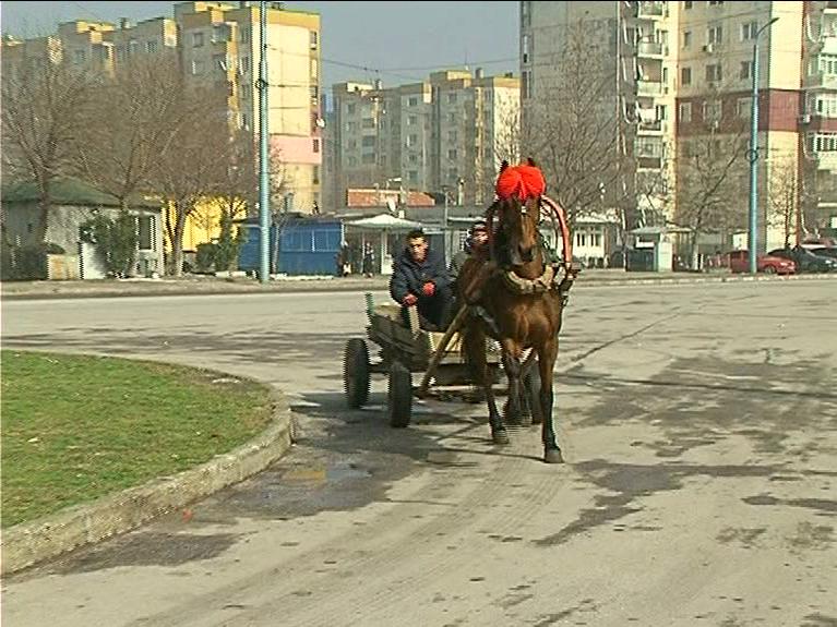 Конят – най-важният член на семейството в Столипиново