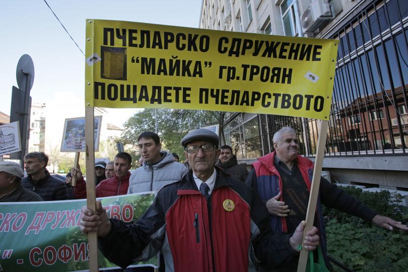 beekeepers across bulgaria rally over unpaid subsidies