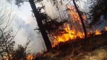 wildfire raging bulgaria’s region kardzhali