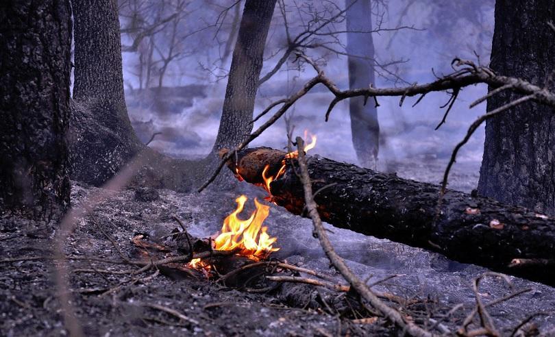 state emergency declared topolovgrad municipality over raging wildfire