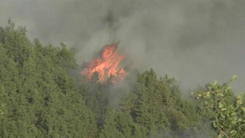 250 firefighters volunteers try extinguish wild fire south bulgaria