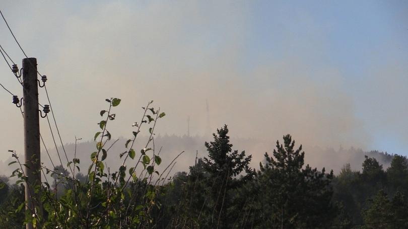 Wildfire in forest near Rebrovo broke out again, urgent call for volunteers