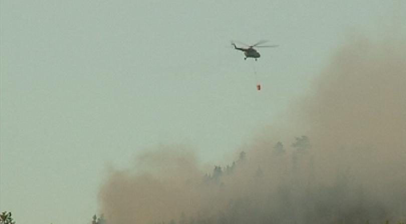 wildfire madzharovo municipality has been brought under control