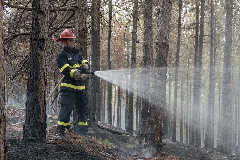 forest fire kresna gorge brought under control