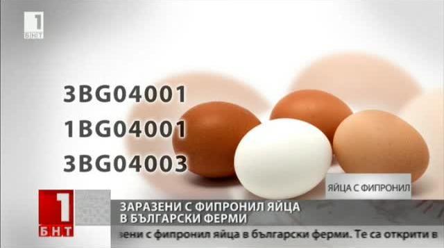 Fipronil Found in Eggs from Bulgarian Chicken Farms