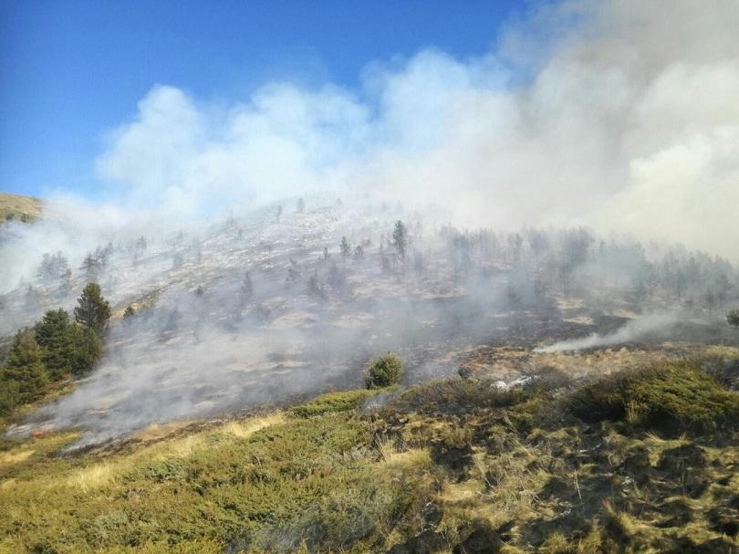 raging wild fire rila engulfs 500 decares mixed forest