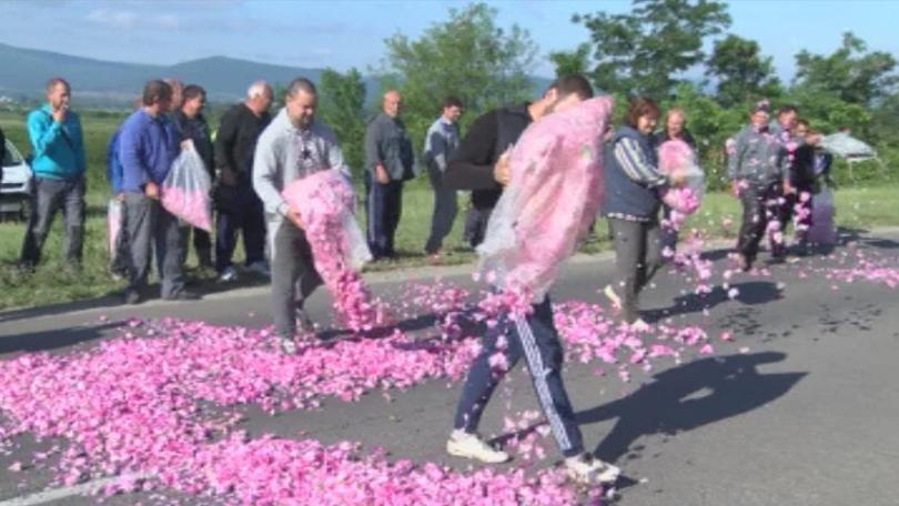 Rose Farmers in Bulgaria’s Rose Valley Protest Again