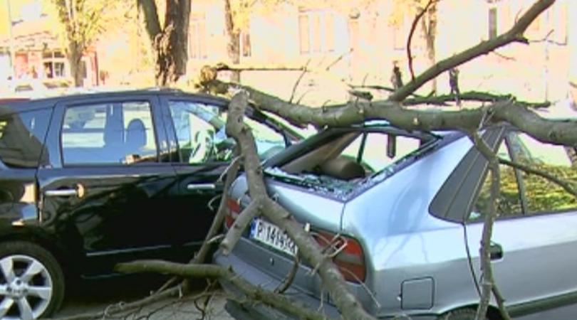 code orange weather alert over strong wind force districts bulgaria