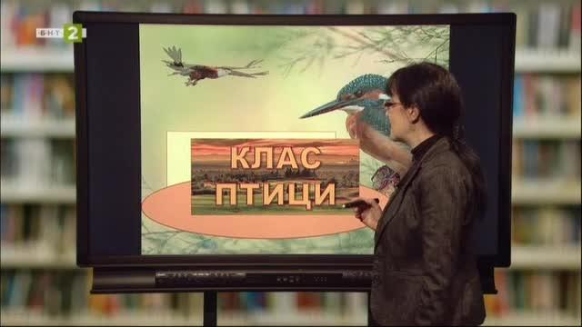 БИОЛОГИЯ И ЗДРАВНО ОБРАЗОВАНИЕ 7.клас: Клас „Птици“ - Българска ...