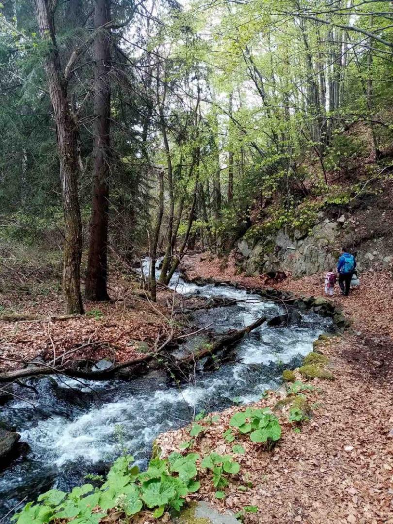 vitosha mountain opened walks