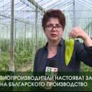 снимка 2 Биопроизводители настояват за защита на българското производство