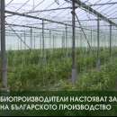 снимка 1 Биопроизводители настояват за защита на българското производство