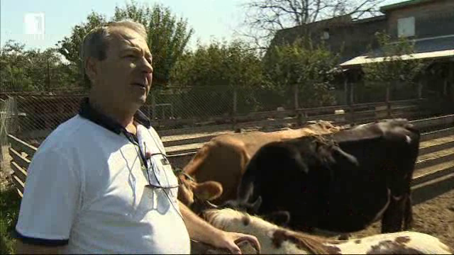 В Румъния: българска следа в образцовото животновъдство