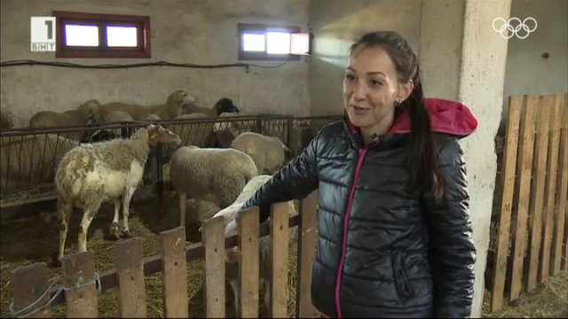 Защо една млада и хубава жена е избрала да гледа овце на село