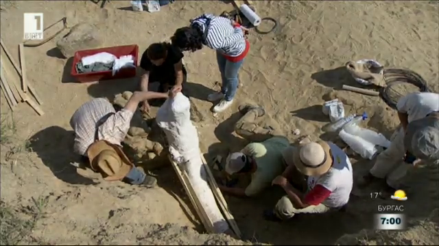 Останки от мастодонт на 8 милиона години откриха в Македония