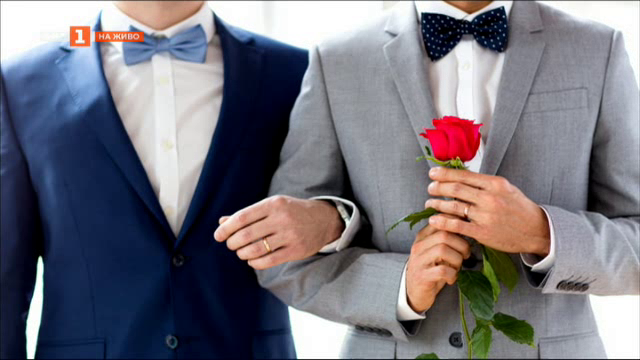 Как се промени обществото по темата за еднополовите двойки