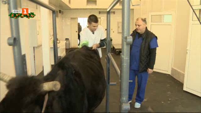 Тракийският университет в Стара Загора подготвя агрономи и ветеринари