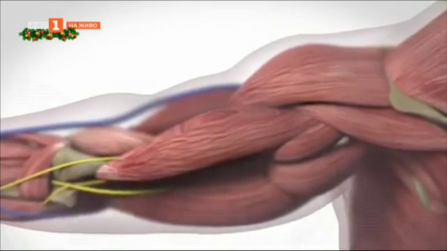 Нов оперативен метод за възстановяване на раменни травми на сухожилията