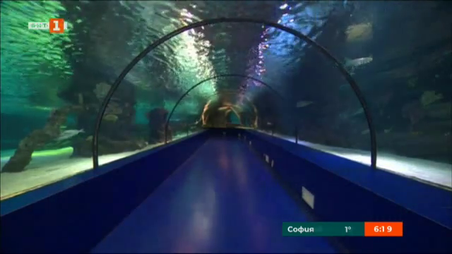 Най-големият аквариумен тунел