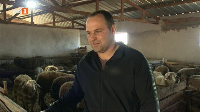 Млад фермер сбъдва мечтата на пет поколения овцевъди