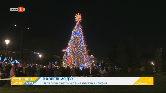 Запалиха светлините на елхата в София