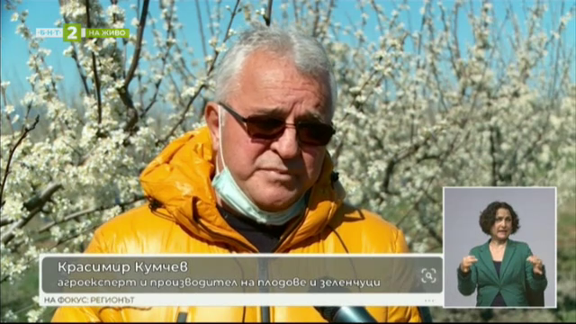 Селското стопанство под карантина - интервю с агроексперта Красимир Кумчев