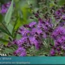 снимка 2 Walk Through Nature and History at Vrana Park