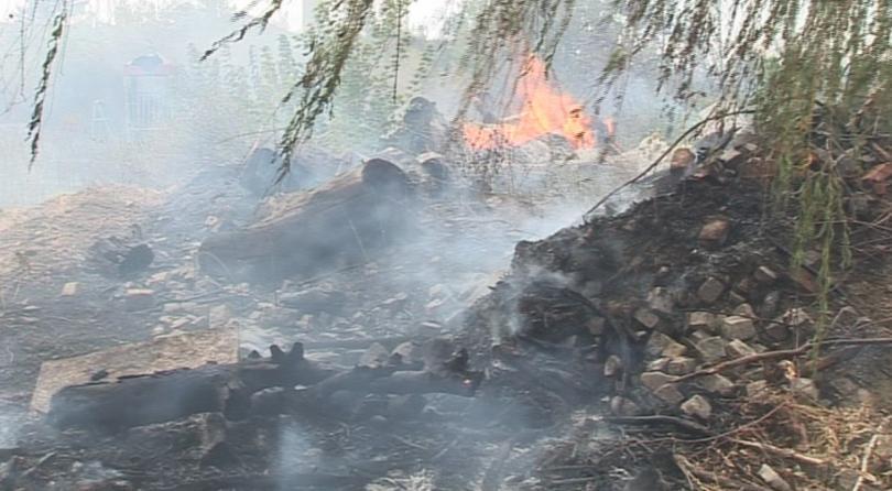 dry grass bushes burning near yambol