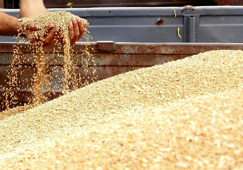 Bulgaria is among the leaders in grain exports