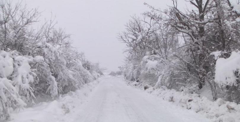 tourists rescued after trapped deep snow northern bulgaria