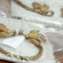 снимка 2 Seven people were detained in attempt to sell unique gold treasure